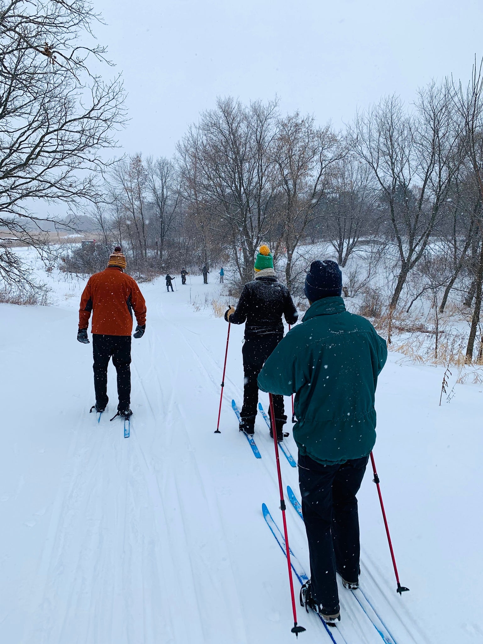 Cross-Country Ski Share Kit